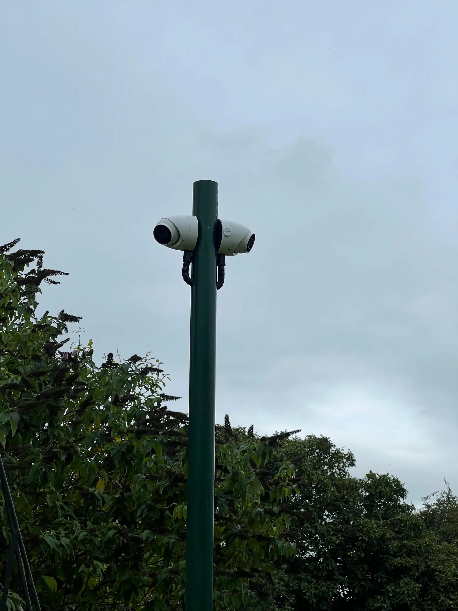 Multi-camera surveillance setup